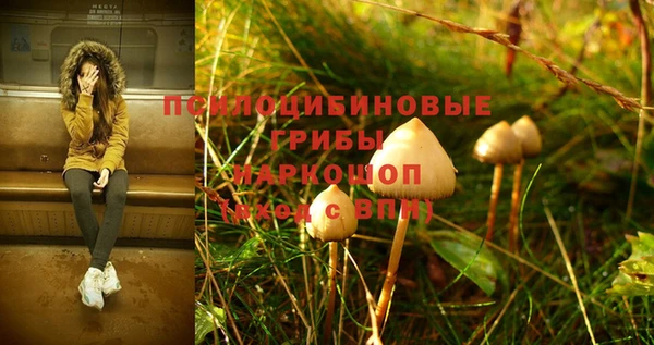 mdpv Белоозёрский
