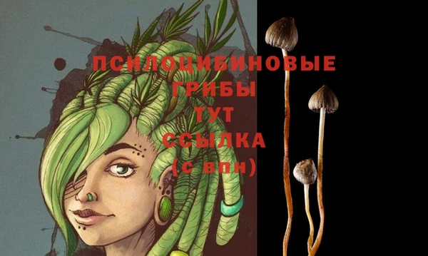 mdpv Белоозёрский