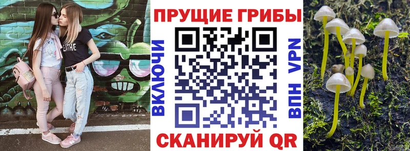 Псилоцибиновые грибы Magic Shrooms  где найти   маркетплейс как зайти  Городовиковск 
